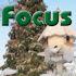 Focus Magazine