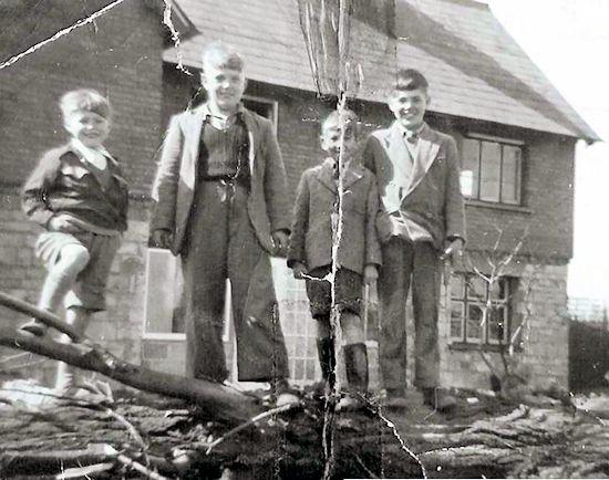 Poplar trees being felled at the corner of Northall Road and High Street, circa 1950s<br />Photographer John Bodsworth (click to view full photo)
