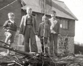 Poplar trees being felled at the corner of Northall Road and High Street, circa 1950s (click to view full photo)