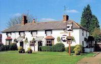 The White Horse