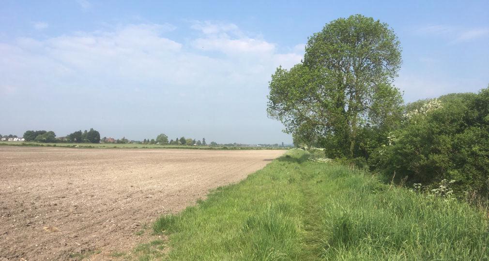 Eaton Bray in May © Theo Gray 2018 Eaton Bray