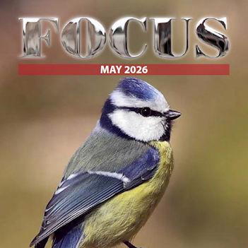 Focus Magazine